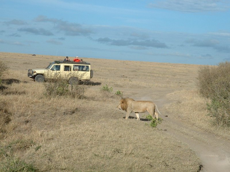 gal/Honeymoon/Masai Mara/DSCF0076.JPG